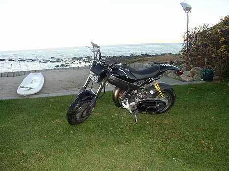 Suzuki Street magic billede 10