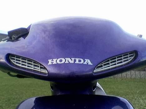 Honda SFX billede 7