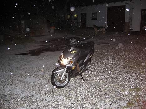 Yamaha jog R ¤vinter scooter¤ - Fruen ude i vintervejret hehe hun er jo vinter kværn mens wallan står i vinter hi! billede 10