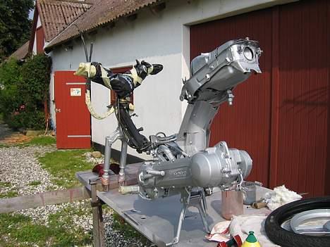 Honda wallaroo # - under lakeringen!  billede 2