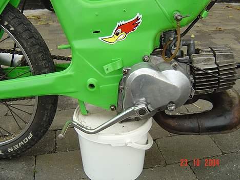 Puch maxi solgt - læg mærke til gråspurven.. den er for syg... billede 7