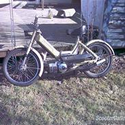 Puch maxi