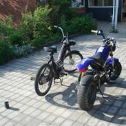 Puch Maxi K (projekt)