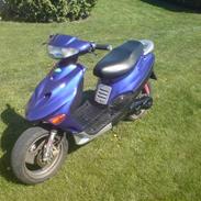 Adly Baboon,silverfox