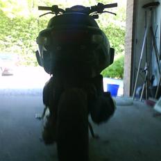 Yamaha "William Jr." "SOLGT"