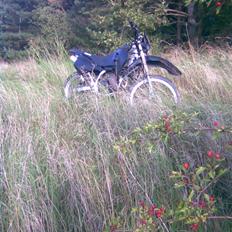 Suzuki RMX (Solgt)