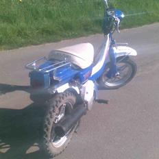 Suzuki Fz 50   (Projekt)