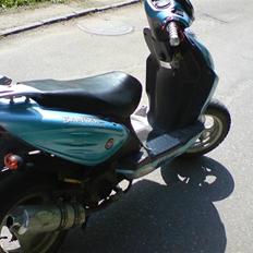 Baotian rebal  (solgt)