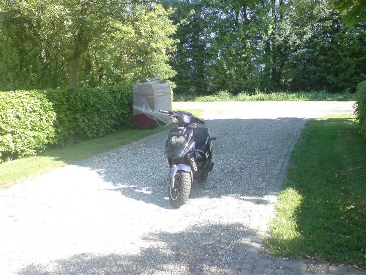 PGO Hot 50 (STJÅLET!!!!) - Ude og tage billeder i det gode vejr :) billede 15