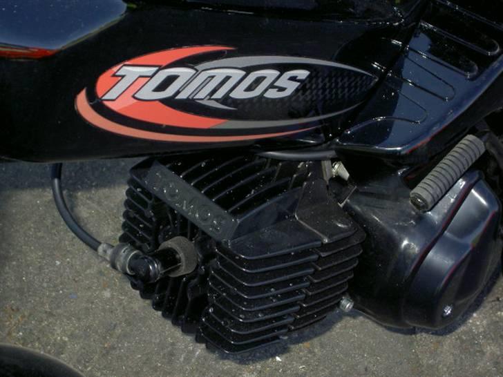 Tomos Standard billede 8