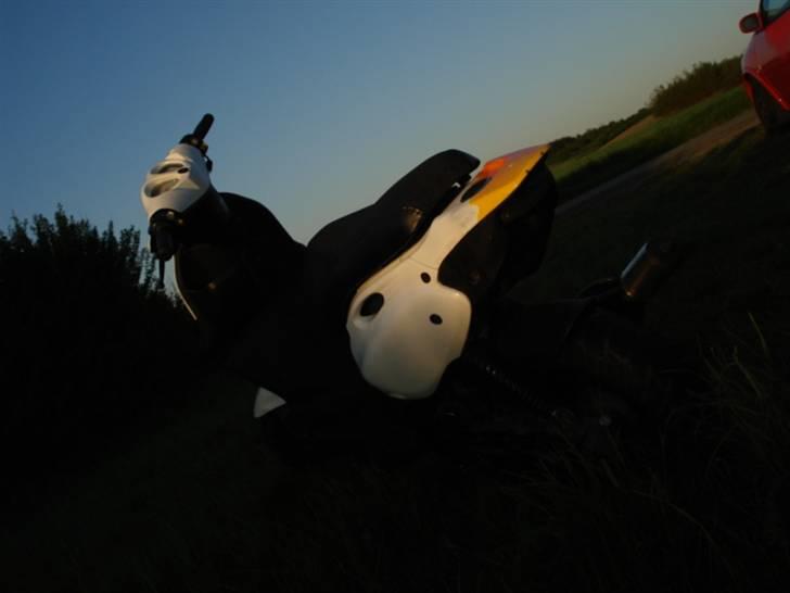 PGO Pmx #Byttet til Sonic# billede 3