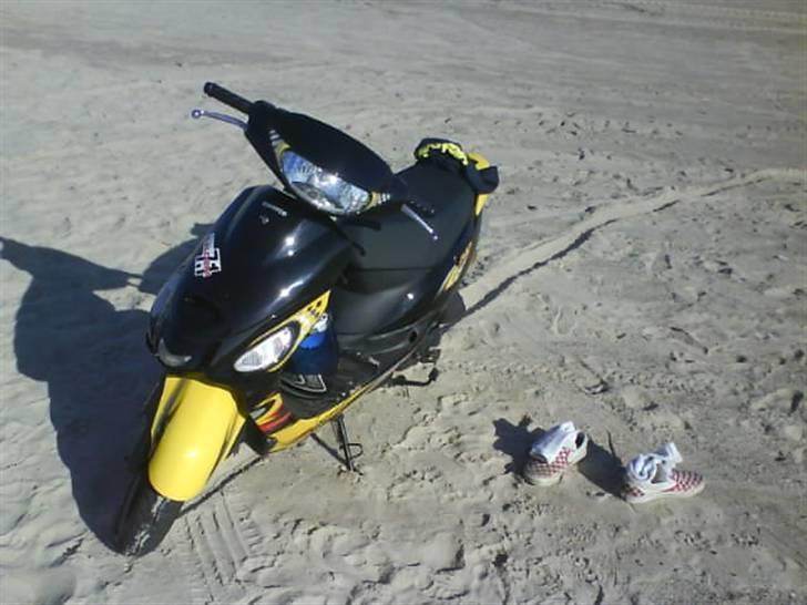 Giantco Sprint Sport billede 10