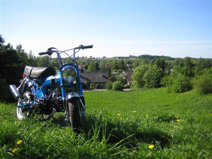 Honda dax st50 "byttet" billede 6