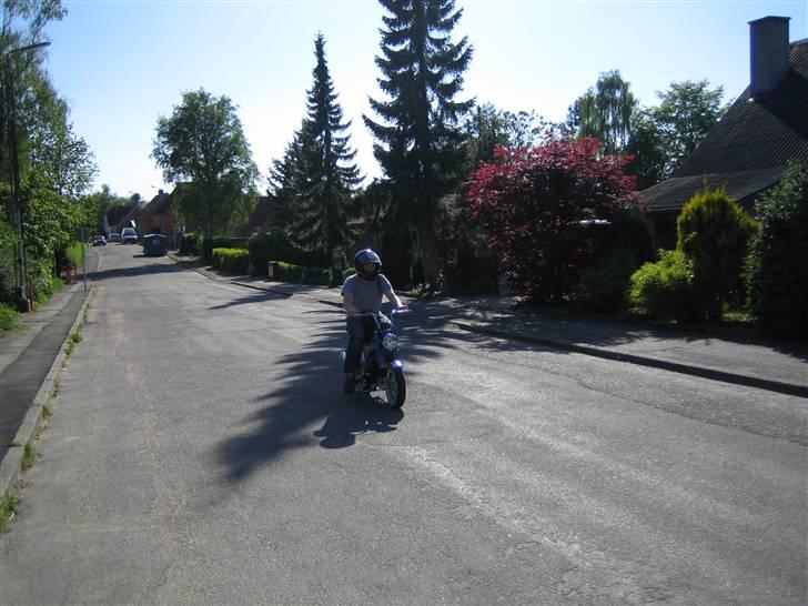 Honda dax st50 "byttet" billede 9