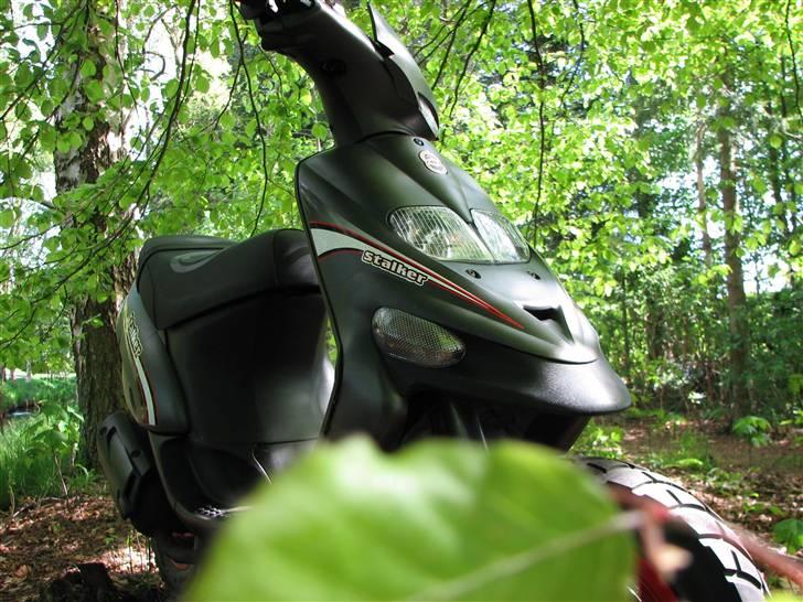 Gilera Stalker SOLGT - 10-5-08 billede 13