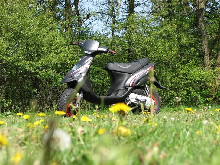 Gilera Stalker SOLGT - 10-5-08 billede 14