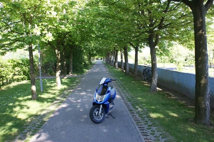 Aprilia Sonic Ac (Stjålet) billede 3