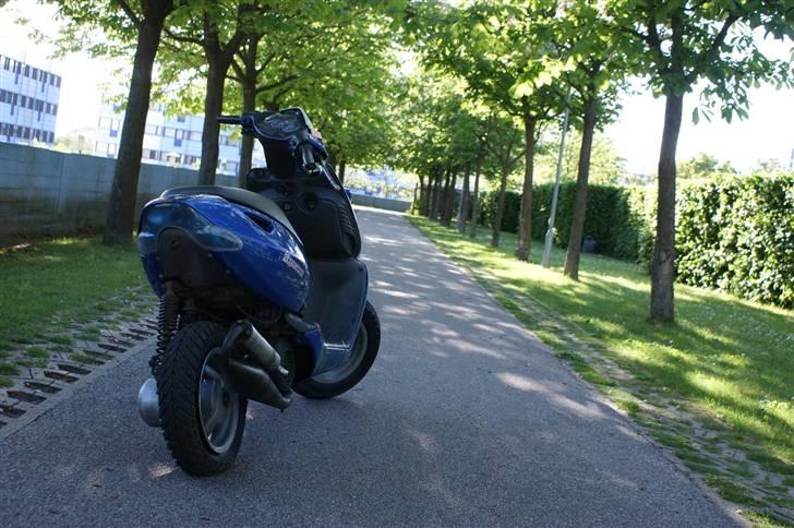 Aprilia Sonic Ac (Stjålet) billede 6