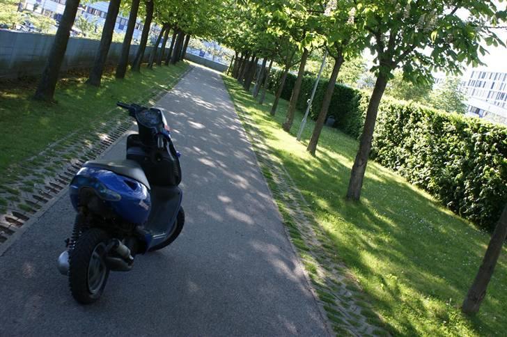 Aprilia Sonic Ac (Stjålet) billede 8