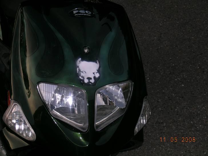 PGO Dr. Big billede 20