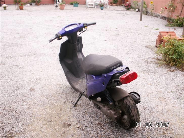 PGO Hot 50 (SOLGT) - Ass billede 3