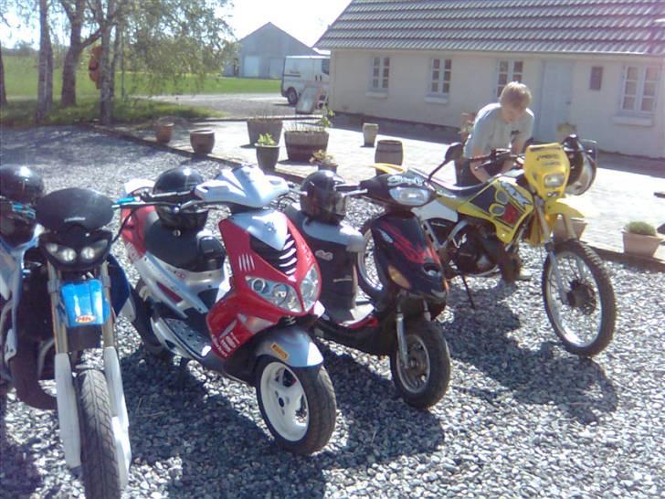 Peugeot speedfight 2 - Smx, Speedfight rally vic, Texas, RMX og Melis :D billede 10