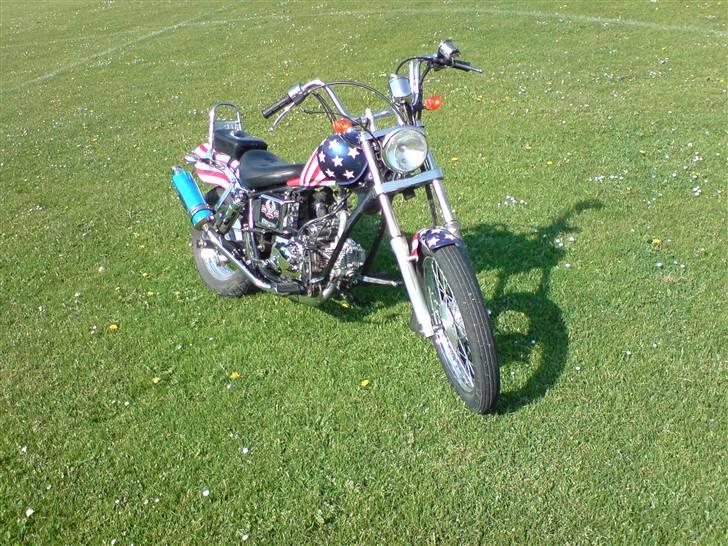 Regal Raptor (USA) [SOLGT] billede 1