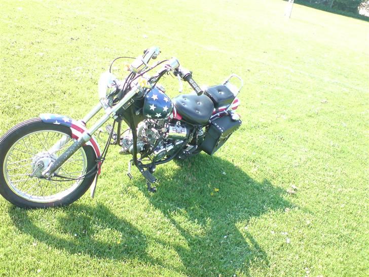 Regal Raptor (USA) [SOLGT] billede 3