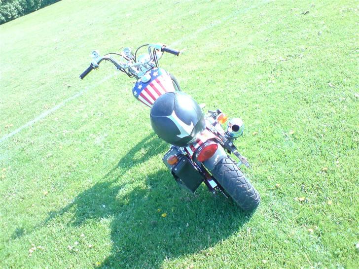 Regal Raptor (USA) [SOLGT] billede 4