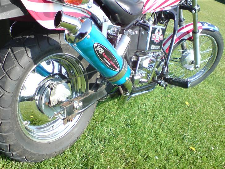 Regal Raptor (USA) [SOLGT] billede 5