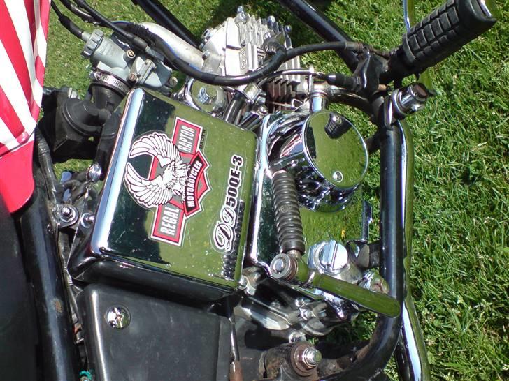 Regal Raptor (USA) [SOLGT] billede 6