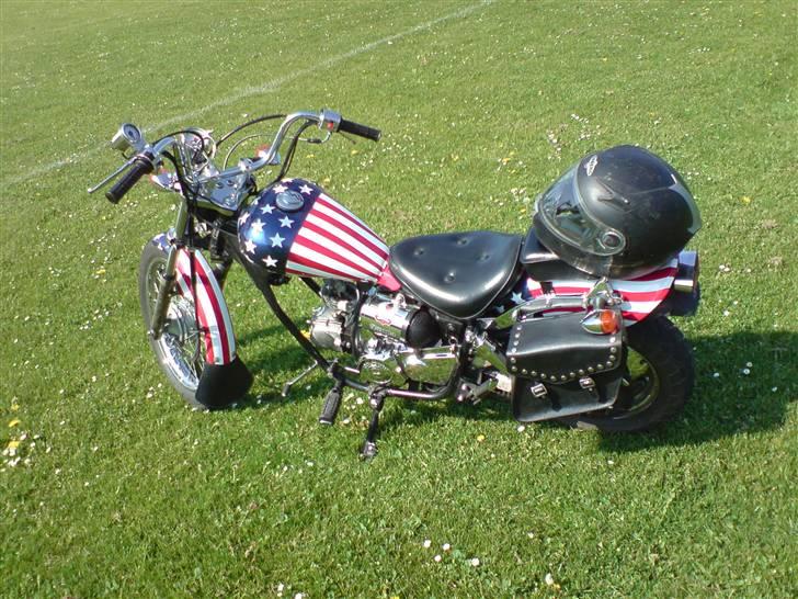 Regal Raptor (USA) [SOLGT] billede 7