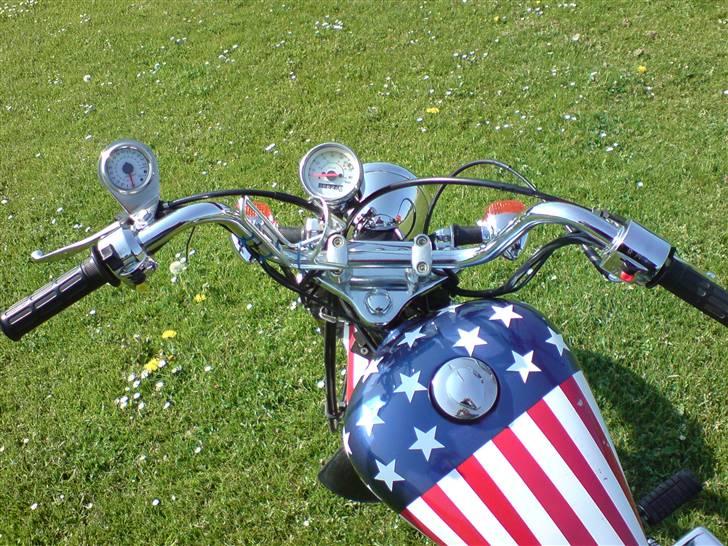 Regal Raptor (USA) [SOLGT] billede 8