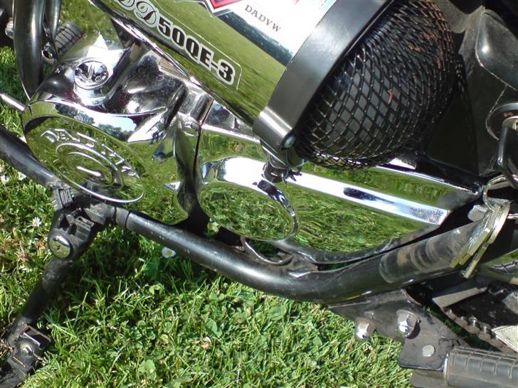 Regal Raptor (USA) [SOLGT] billede 9