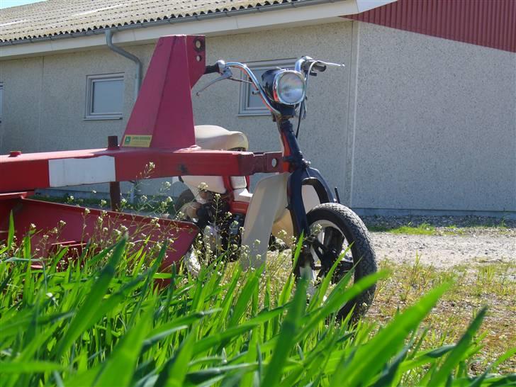 Suzuki fz 50 solgt billede 4