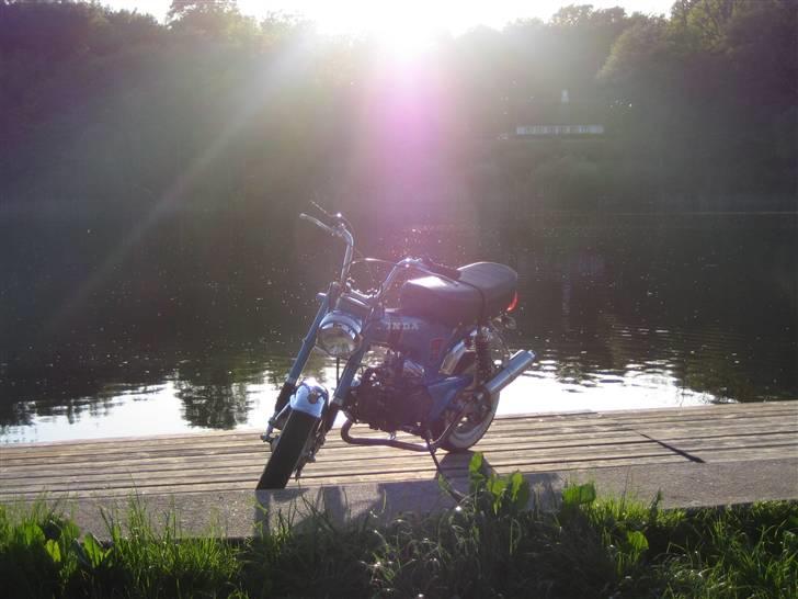 Honda dax st50 "byttet" billede 14