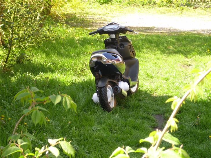 Aprilia sonic BYTTET billede 7