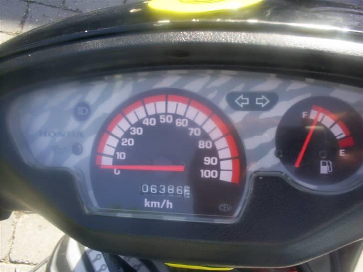 Honda sfx- byttet til dr big  billede 9