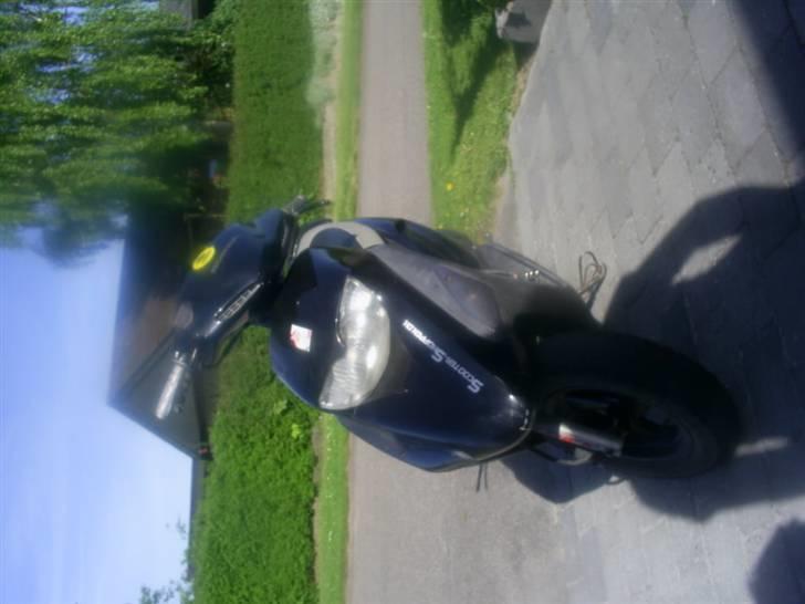 Honda sfx- byttet til dr big  billede 12