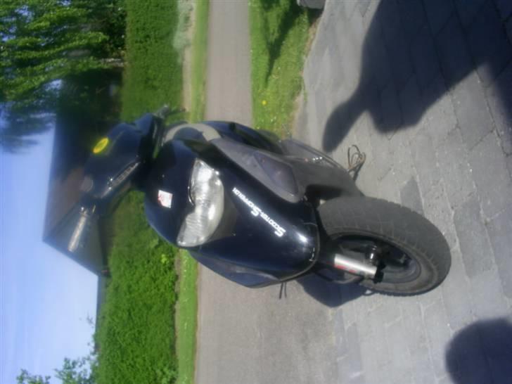 Honda sfx- byttet til dr big  billede 13
