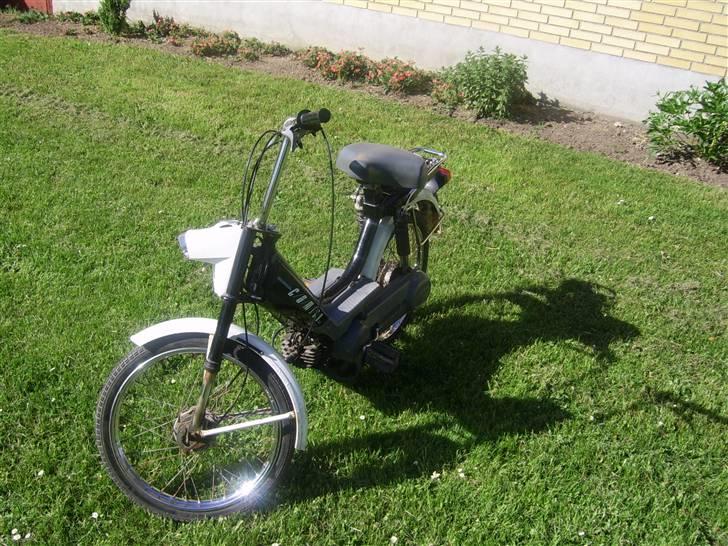 Honda Camino DX  billede 7