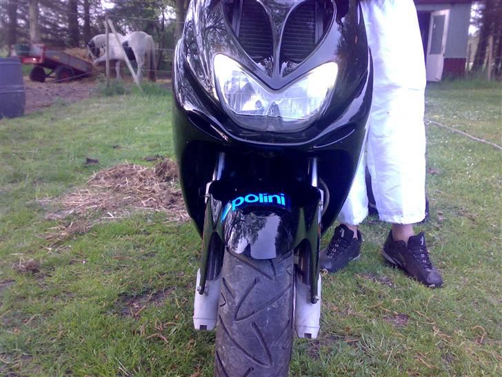 Yamaha Aerox LC DD EVO2 ( byttet billede 8