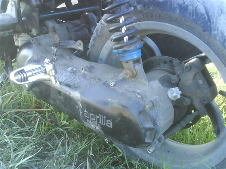 Aprilia sr50 LC DD evo 2 billede 10