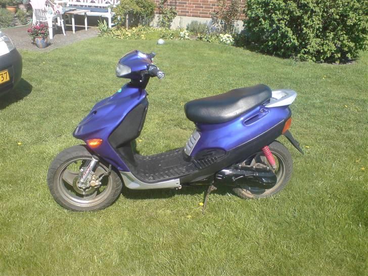 Adly Baboon,silverfox billede 2