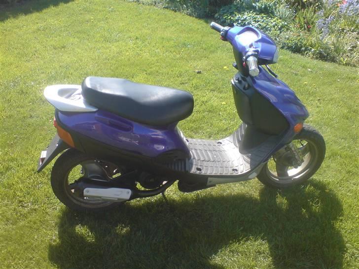 Adly Baboon,silverfox billede 3