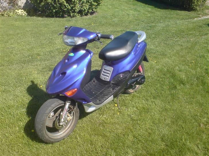 Adly Baboon,silverfox billede 5