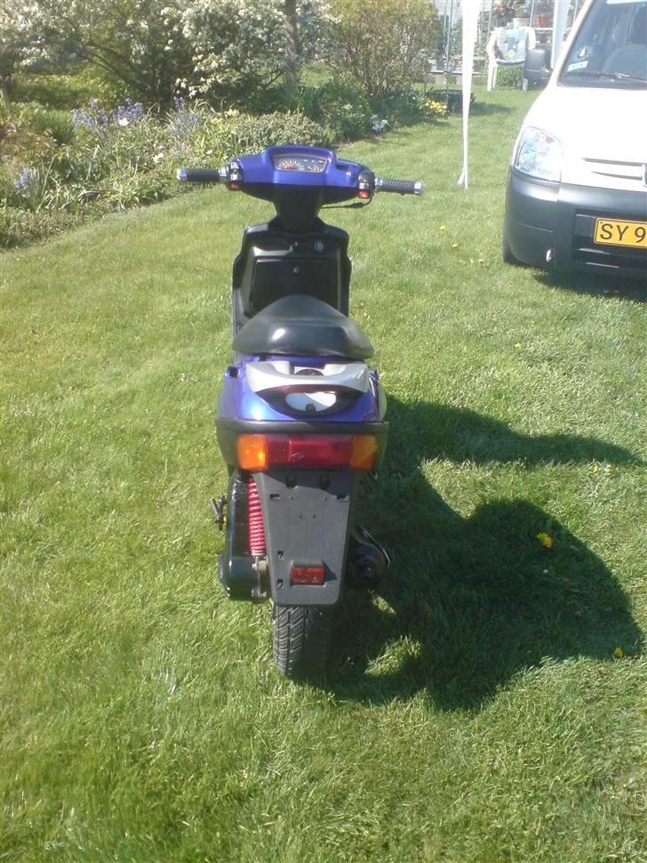 Adly Baboon,silverfox billede 6