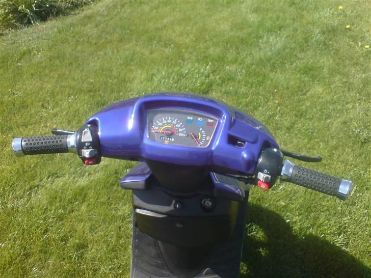 Adly Baboon,silverfox billede 7