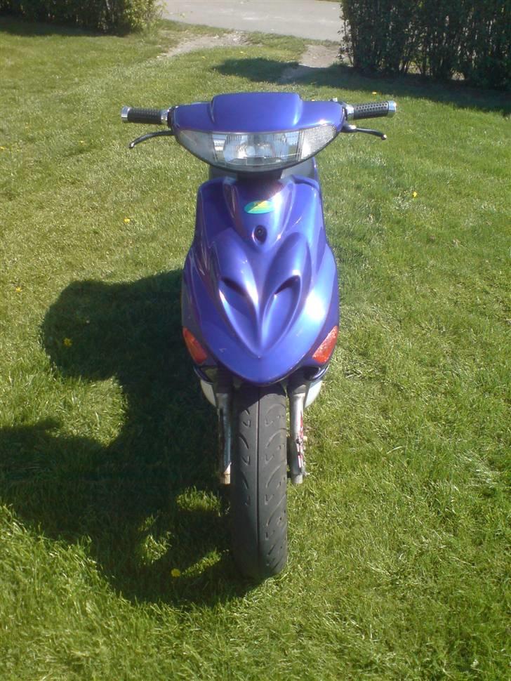 Adly Baboon,silverfox billede 8