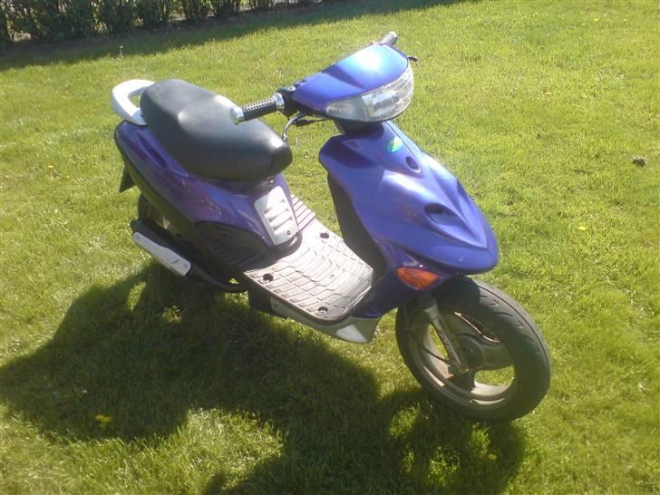 Adly Baboon,silverfox billede 9